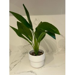 Planta artificial c/maceta ceramica blanca 40cm