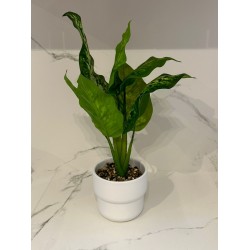 Planta artificial c/maceta ceramica blanca 40cm