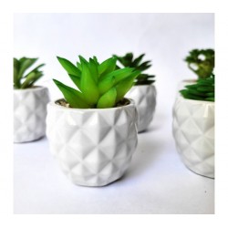Planta artificial c/maceta ceramica blanca 6x9cm