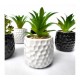 Planta artificial c/maceta ceramica Bco/Ng 8x15cm