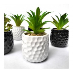 Planta artificial c/maceta ceramica Bco/Ng 8x15cm