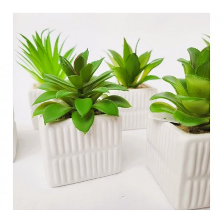 Planta artificial maceta ceramica cuadrada 6x13cm-Rayas-