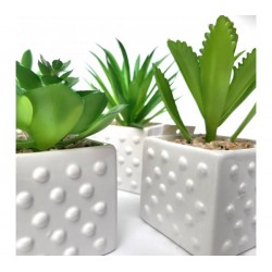 Planta artificial maceta ceramica cuadrada 6x13cm-Puntos-