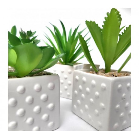 Planta artificial maceta ceramica cuadrada 6x13cm-Puntos-