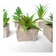 Planta artificial maceta terrazo cuadrada 5x8cm - surtidas -