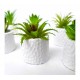 Planta artificial maceta ceramica redonda 5x8cm -surtidas -