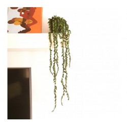 Planta artificial colgante c/maceta plastica - 63cm largo