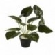 Planta artificial 40cm con maceta plastica Monstera 2