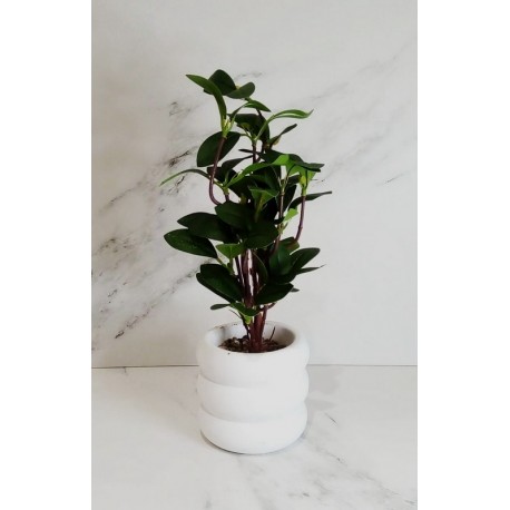 Planta artificial con maceta de ceramica blanco 35cm de alto